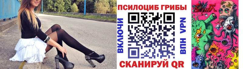 kraken зеркало  Павловский Посад  Псилоцибиновые грибы Magic Shrooms 